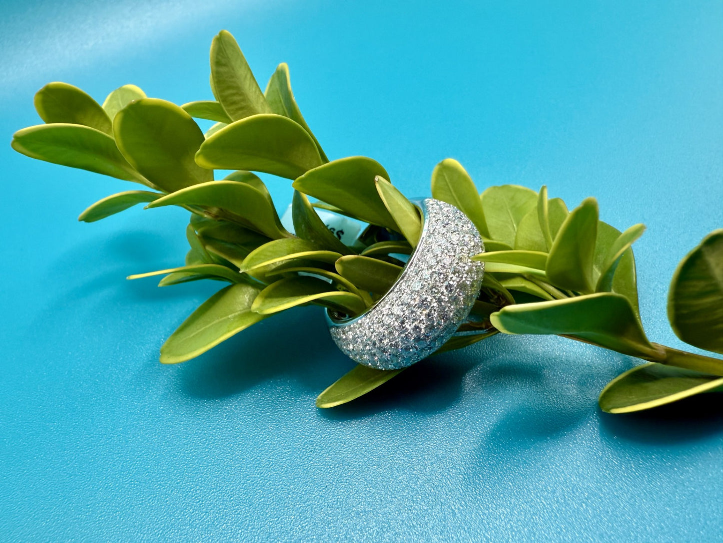 Diamond Pavé Dome Ring in 18k White Gold