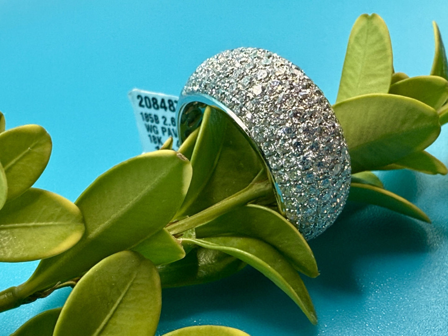 Diamond Pavé Dome Ring in 18k White Gold